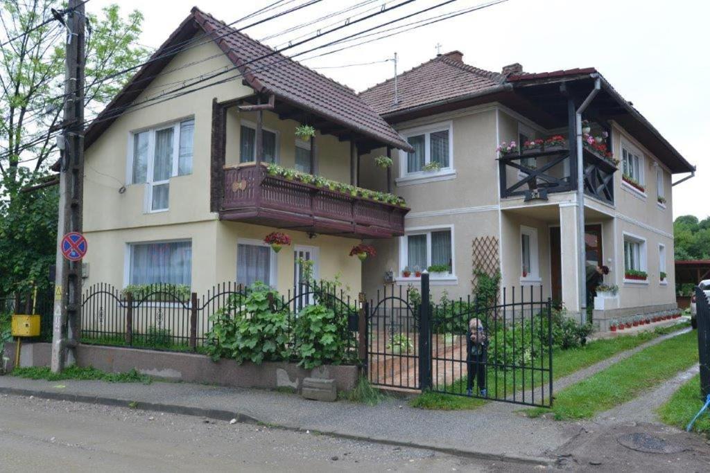브란 Casa Georgeta 게스트하우스 외부 사진