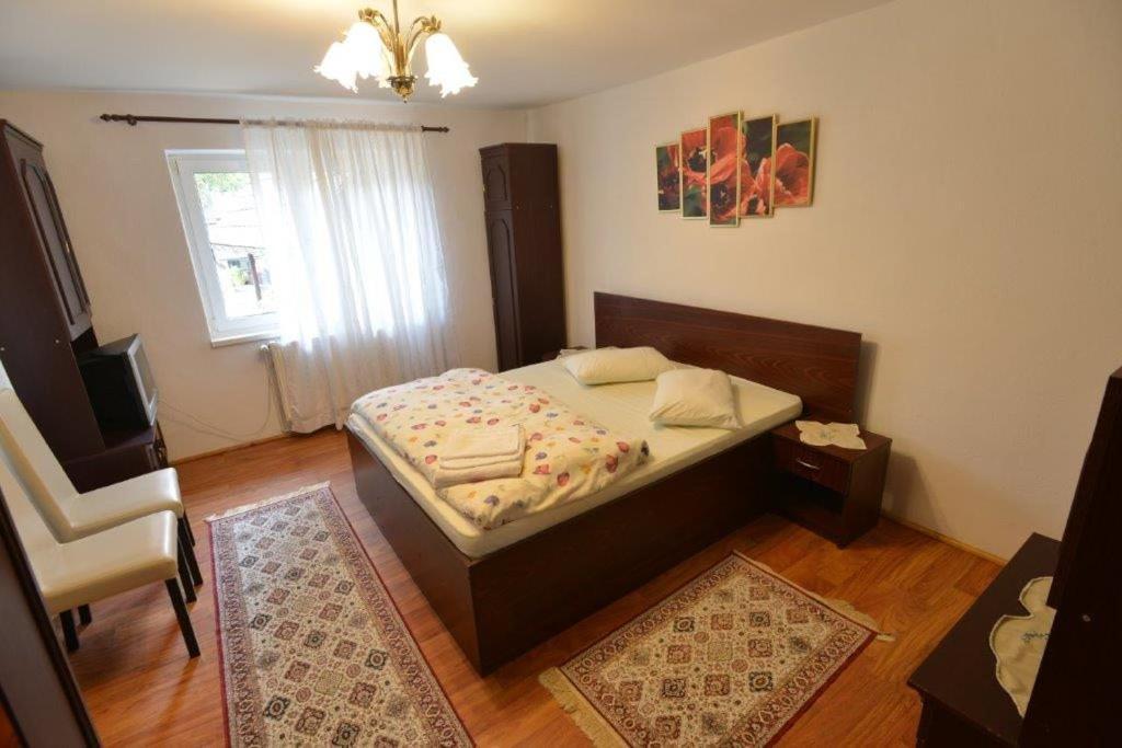 브란 Casa Georgeta 게스트하우스 외부 사진