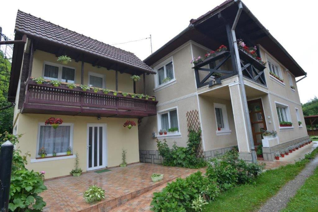 브란 Casa Georgeta 게스트하우스 외부 사진