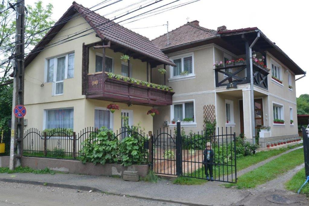 브란 Casa Georgeta 게스트하우스 외부 사진