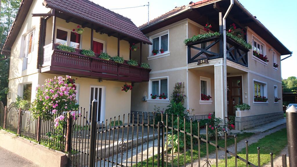 브란 Casa Georgeta 게스트하우스 외부 사진